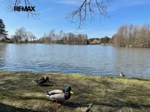 Prodej rodinného domu, Struhařov, 139 m2