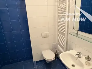 Pronájem bytu 1+kk, Kroměříž, 43 m2