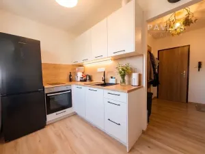 Pronájem bytu 1+1, České Budějovice, Dubenská, 33 m2