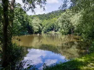 Prodej rodinného domu, Samopše, 642 m2