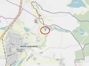 Prodej lesa, Nová Včelnice, 2797 m2