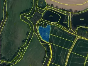 Prodej lesa, Nová Včelnice, 2797 m2