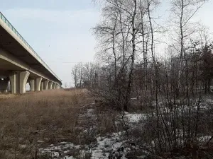 Prodej lesa, Řípec, 27546 m2