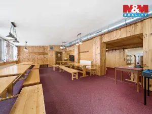 Prodej ubytování, Čenkovice, 297 m2