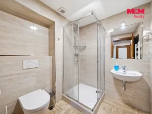Prodej ubytování, Čenkovice, 297 m2