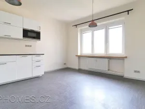 Pronájem bytu 3+kk, Praha - Žižkov, Biskupcova, 81 m2