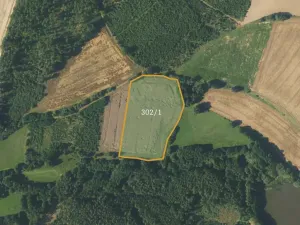 Prodej podílu pole, Borovná, 60983 m2