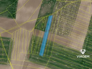 Prodej podílu pole, Trojovice, 4014 m2