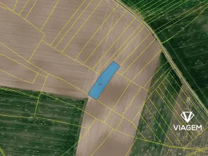Prodej podílu pole, Trojovice, 1944 m2