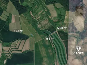 Prodej podílu pole, Archlebov, 1289 m2