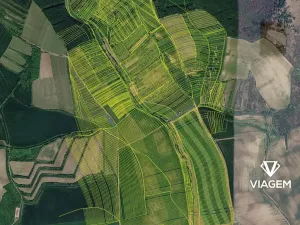 Prodej podílu pole, Archlebov, 1289 m2