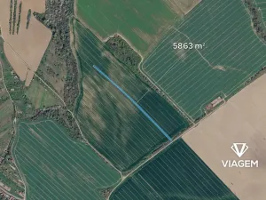 Prodej podílu pole, Babice, 1710 m2