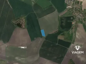 Prodej pole, Cholenice, 17822 m2