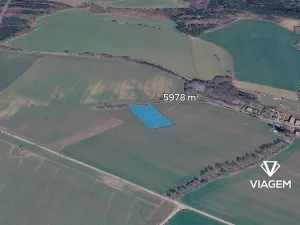 Prodej pole, Prusice, 5978 m2