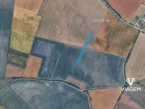 Prodej pole, Sudovo Hlavno, 5925 m2