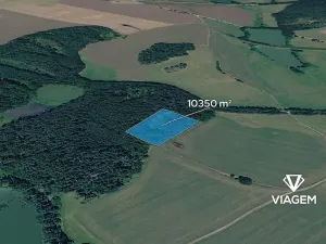 Prodej podílu lesa, Kardašova Řečice, 1725 m2