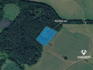 Prodej podílu lesa, Kardašova Řečice, 1725 m2