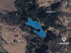 Prodej podílu lesa, Tábor, 3740 m2