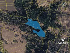 Prodej podílu lesa, Tábor, 3740 m2