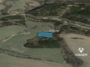 Prodej lesa, Řendějov, 6061 m2