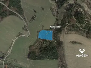 Prodej lesa, Řendějov, 6061 m2