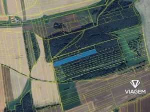 Prodej podílu lesa, Nové Strašecí, 7545 m2