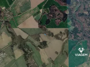 Prodej lesa, Heřmanice, 1162 m2