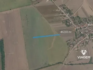 Prodej pole, Kněždub, 4600 m2