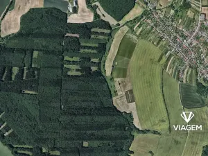 Prodej lesa, Komárov, 745 m2