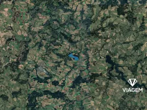 Prodej podílu lesa, Trhový Štěpánov, 1428 m2