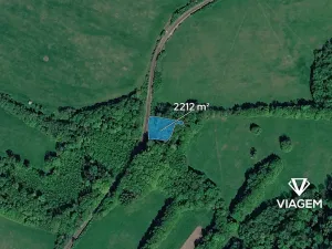 Prodej lesa, Ženklava, 2212 m2