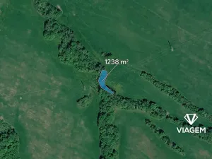 Prodej lesa, Ženklava, 1238 m2