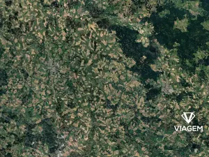 Prodej lesa, Přibyslav, 1542 m2