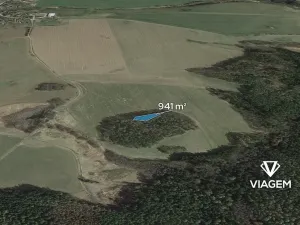 Prodej lesa, Veliš, 941 m2