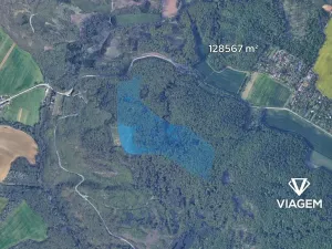 Prodej podílu lesa, Troubsko, 5672 m2