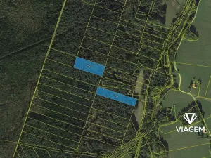 Prodej podílu lesa, Suchdol nad Lužnicí, 13912 m2