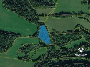 Prodej podílu lesa, Heřmanov, 2538 m2