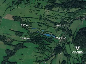 Prodej podílu lesa, Heřmanov, 7032 m2