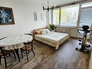 Pronájem bytu 2+1, Litoměřice, Hrubínova, 55 m2
