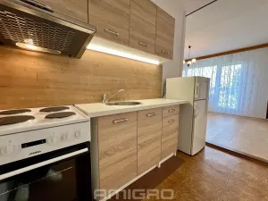 Prodej bytu 2+kk, Brno, Labská, 45 m2