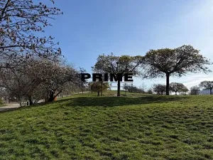 Pronájem bytu 3+kk, Praha - Žižkov, Prokopova, 71 m2