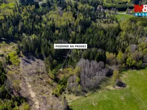 Prodej lesa, Železný Brod, 11203 m2