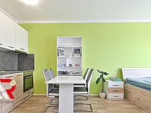 Prodej bytu 1+kk, Brno, Turgeněvova, 40 m2