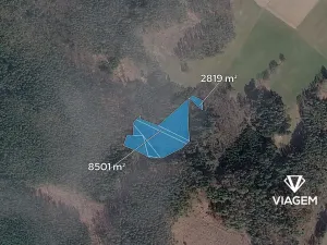 Prodej lesa, Řečice, 8501 m2