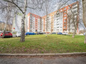 Pronájem bytu 1+1, Lovosice, Vodní, 37 m2