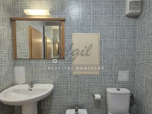 Pronájem bytu 1+kk, Brno, 56 m2