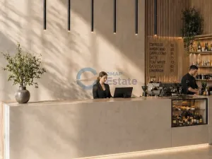 Prodej bytu 1+kk, Opava, Husova, 34 m2
