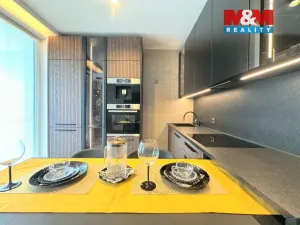 Prodej bytu 2+kk, Ostrava - Moravská Ostrava, F. X. Riepla, 65 m2