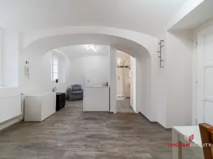 Pronájem bytu 1+kk, Hradec Králové, Dlouhá, 25 m2