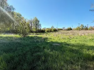 Prodej pozemku pro bydlení, Moravské Budějovice, 1610 m2